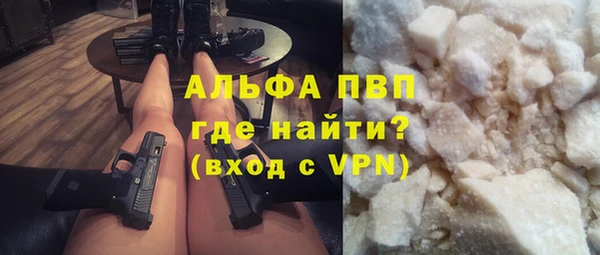 индика Нестеровская