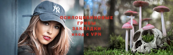 альфа пвп Заволжье