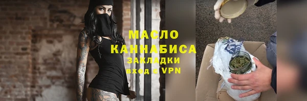 индика Нестеровская