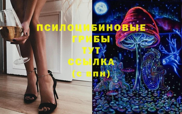 амф Заводоуковск