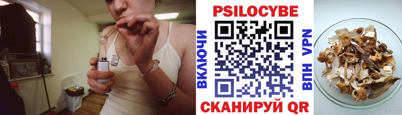 Галлюциногенные грибы Psilocybine cubensis  Губаха 