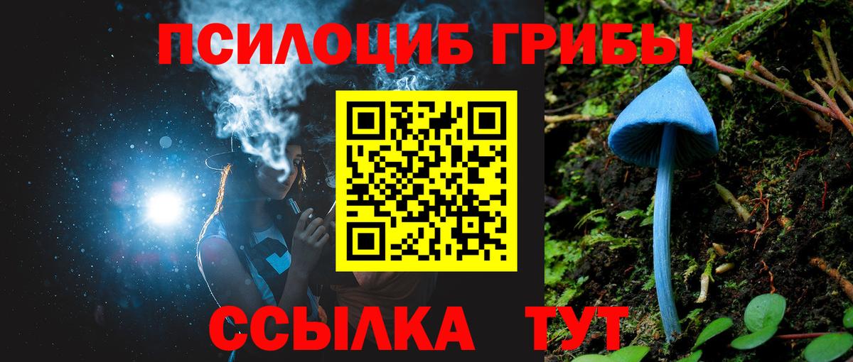 Губаха  Галлюциногенные грибы мицелий  Вход с VPN 